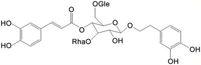 Echinacoside Suppresses Amyloidogenesis and Modulates F-actin Remodeling by Targeting the ER Stress Sensor PERK in a Mouse Model of Alzheimer’s Disease